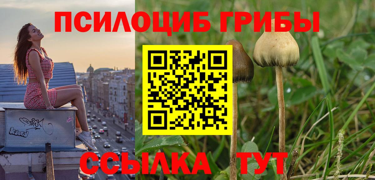 Псилоцибиновые грибы GOLDEN TEACHER Ахтубинск