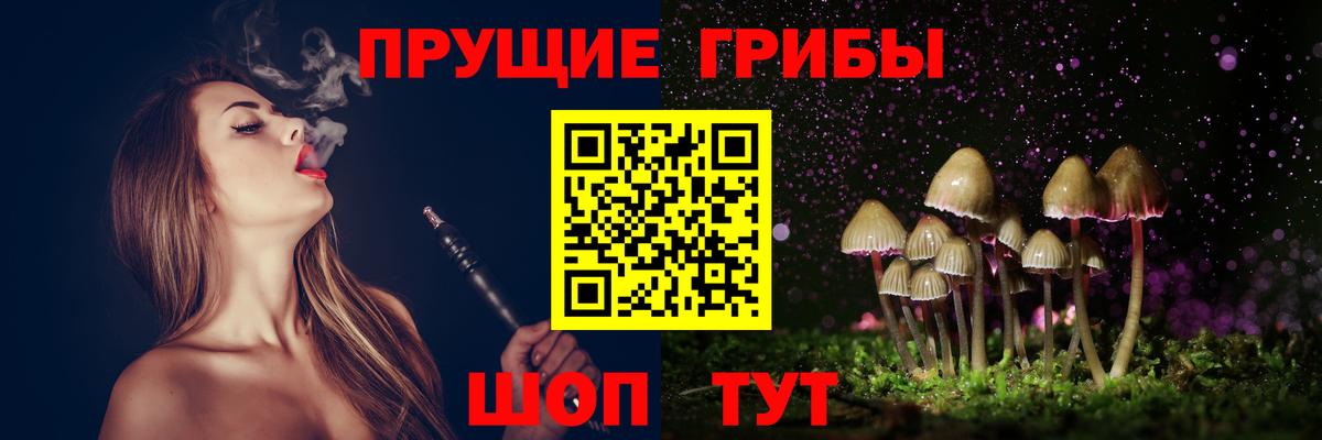 Ахтубинск  Галлюциногенные грибы Psilocybe  купить   Галлюциногенные грибы мицелий  Вход с VPN 